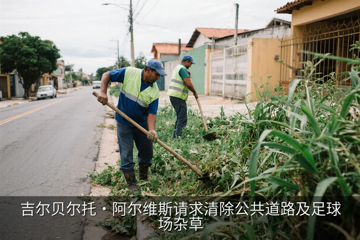 吉尔贝尔托·阿尔维斯请求清除公共道路及足球场杂草