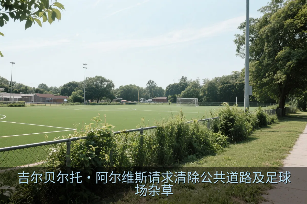 社区足球场内过度生长的植被